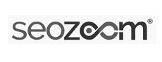 seozoom-icon